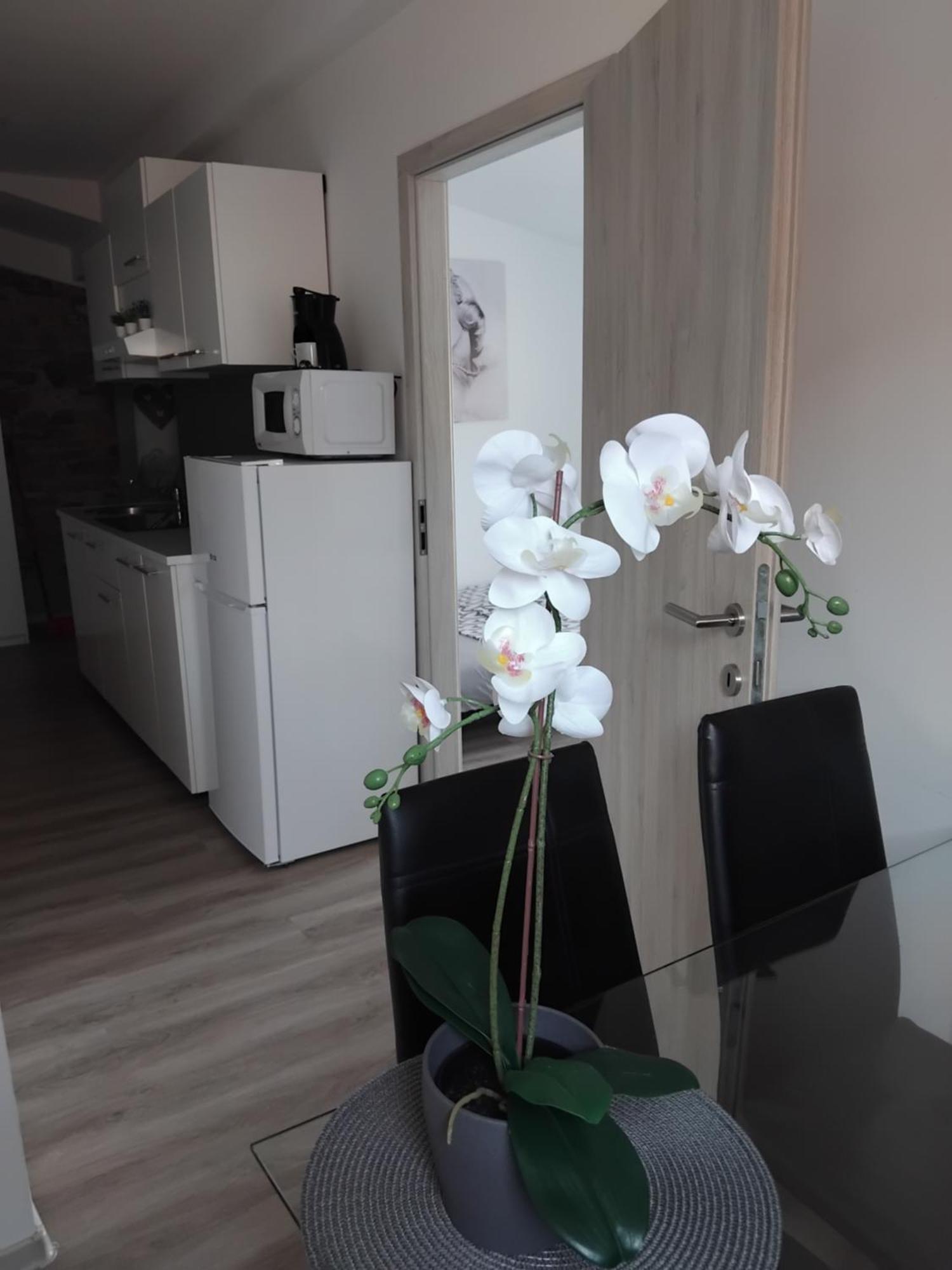 Apartmaja Eva&Pia Koper Exteriér fotografie